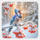 Search for blue berries stickers Bird