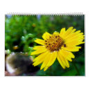 Search for graphic design calendars Digital