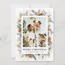 Search for pine needles cards Foliage