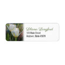 Search for spring bloom return address labels Blooming
