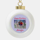 Search for red robin christmas tree decorations Bird