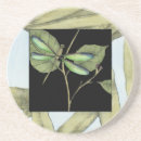 Search for dragonfly coasters Animals