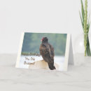 Search for buzzard cards Wildlife