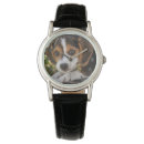 Search for beagle watches Puppy