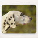 Search for profile mousepads One animal