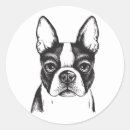 Search for i love boston stickers Pet