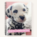 Search for valentine notebooks Avanti press
