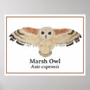 Search for watercolor owl art Birds