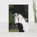 Search for gypsy vanner horse cards Bob langrish