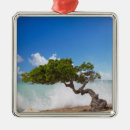 Search for aruba christmas tree decorations Travel