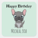 Search for pug dogs stickers Birthday