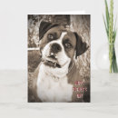 Search for boxer dog fathers day Pet