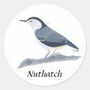 Search for nuthatch stickers Breasted