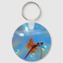 Search for transparent key rings Insect