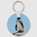 Search for penguin photo key rings Penguins