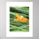 Search for wall covering posters Flowers