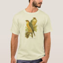 Search for falco tshirts Peregrine falcon