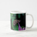 Search for spotted butterflies mugs Insect