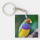 Search for finch key rings Pet
