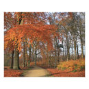 Search for scenic landscape posters Trees