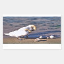 Search for swan bird stickers Cute