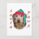 Search for dachsie cards Dog