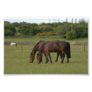Search for farm animals art Grey