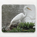 Search for plumage electronics Elegant