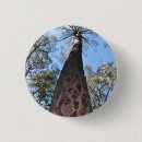 Search for pines badges Nature