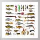 Search for lures posters Tackle