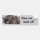 Search for passed bumper stickers Cute