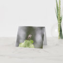 Search for blurred cards Nature