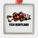 Search for chesapeake bay christmas tree decorations Baltimore