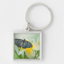 Search for swallowtail key rings Close up