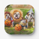 Search for halloween paper plates Funny