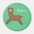 Search for alpaca magnets Animal