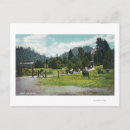 Search for camping ground postcards Grounds