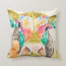 Search for colourful cushions Animal
