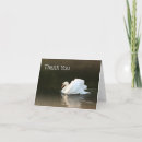 Search for reflection note cards Nature