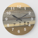 Search for seagull clocks Seascape