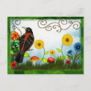 Search for bird watching postcards Birds
