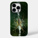 Search for black spider iphone cases Spiders