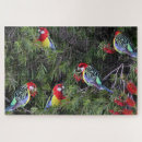 Search for tropical birds puzzles Parrots