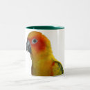 Search for conure mugs Parrot