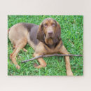 Search for hunting dog puzzles Canine