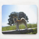 Search for shiba inu mousepads Full length