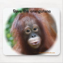 Search for primate electronics Animals