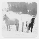 Search for ranching stickers Cowboy