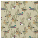 Search for decoy Ducks
