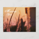 Search for flower miss you cards Wildflower